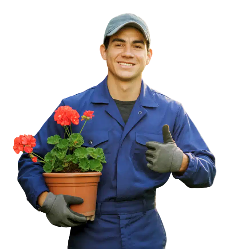 Need A Professional Landscaper in Round Rock