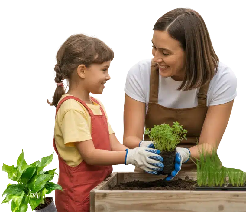 Why Homeowners Trust Our Landscaping Company in Round Rock