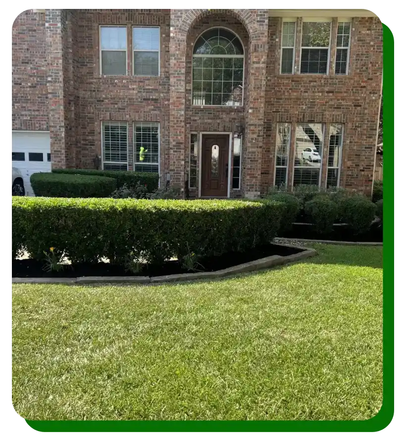 A Well-Cut Lawn Starts with Precision and Patience