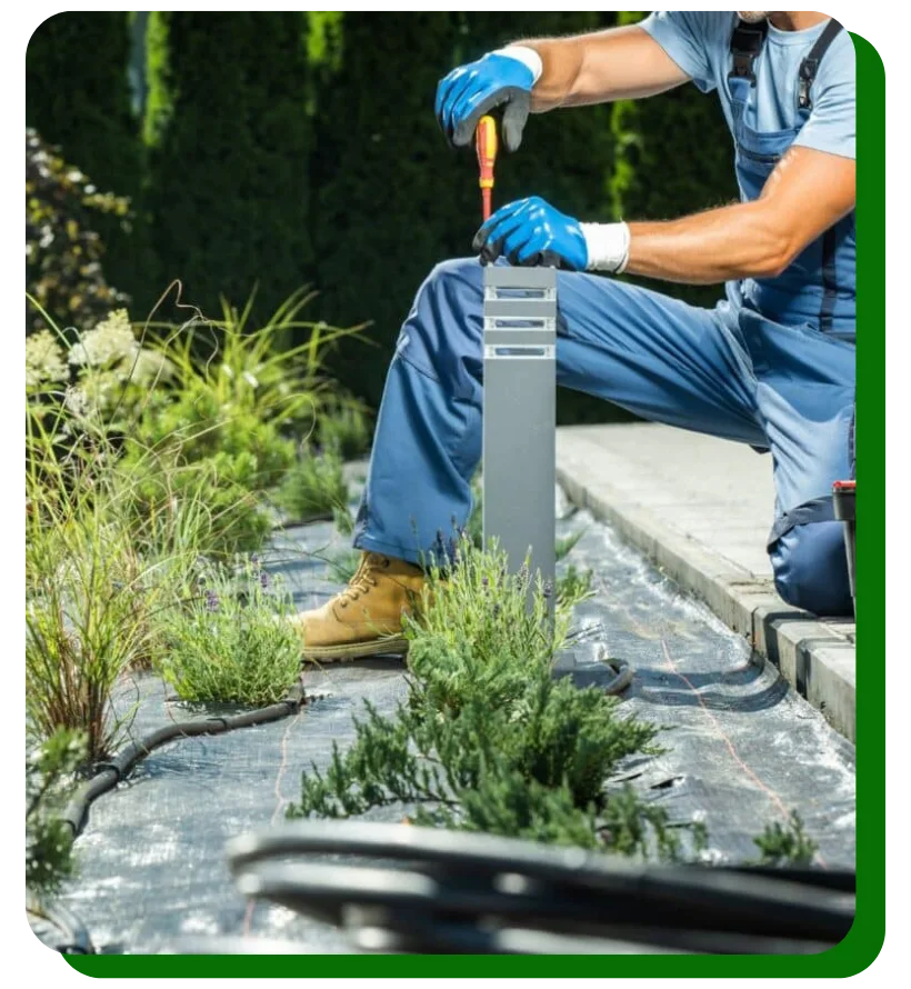 Benefits of Professional Landscaping Lighting