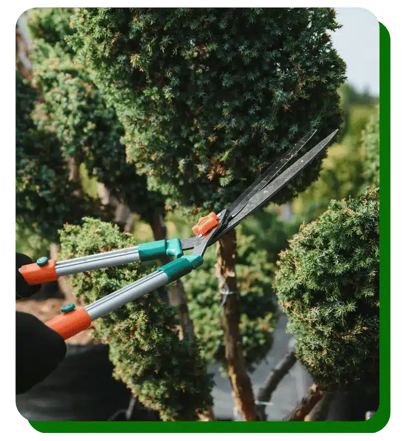 Decorative Stone Landscaping in Round Rock