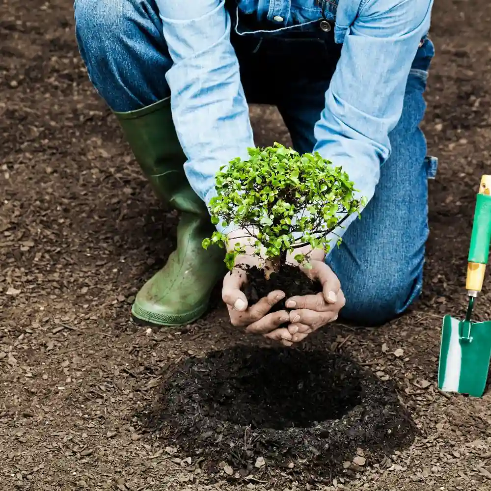 Full Patio Extension Design