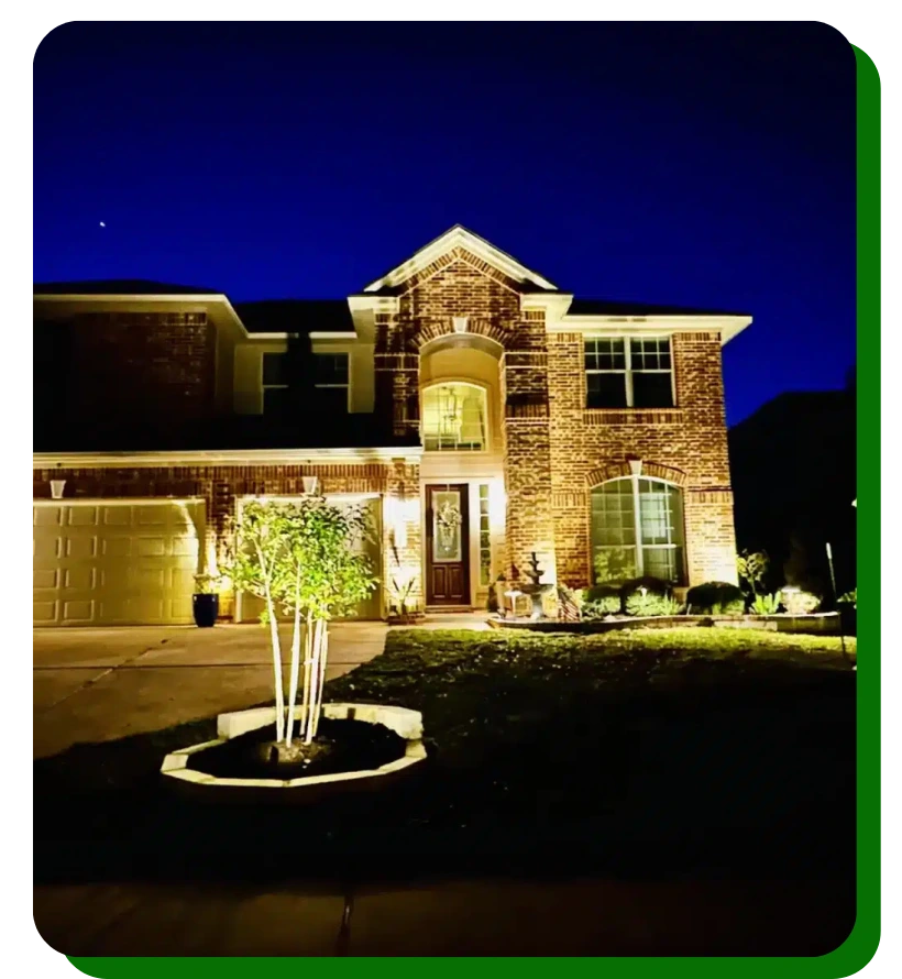 Professional Landscape Lighting