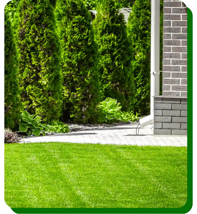 Lawn Care in Round Rock That Nurtures Beauty from the Ground Up