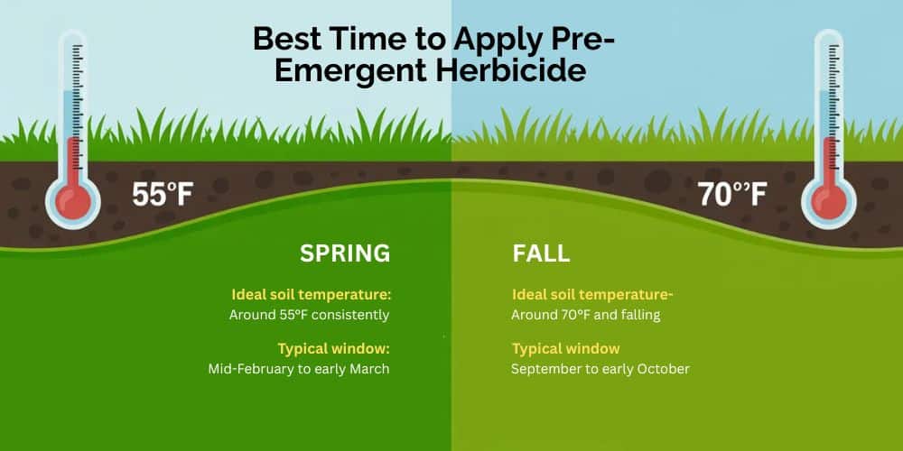 When to Apply Pre-Emergent Herbicide in Texas