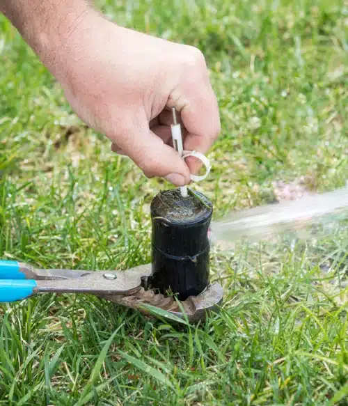 Irrigation Checkup