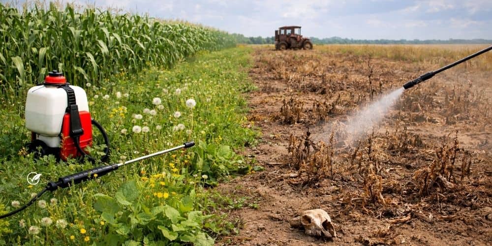 Non-Selective Herbicides