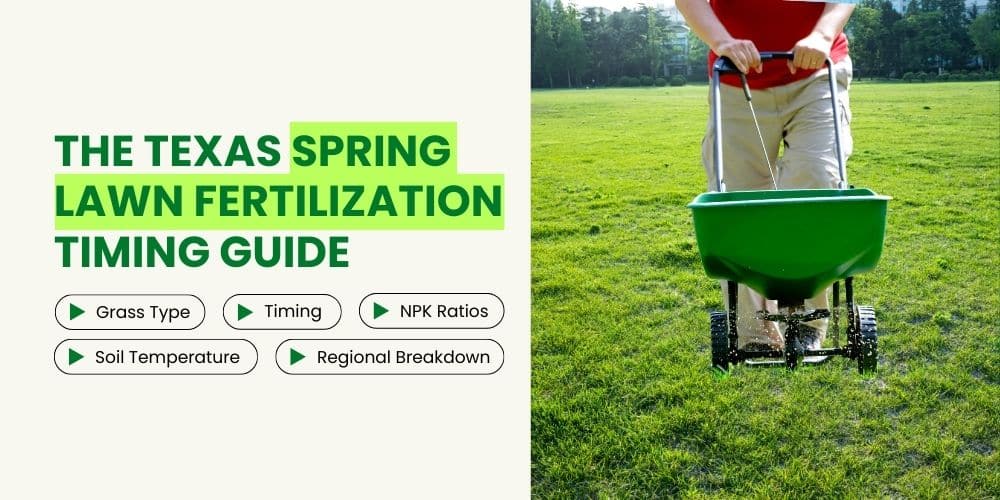 When to Fertilize Lawn in Texas Spring
