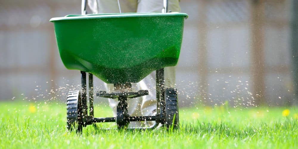 Why Timing Is Everything in Texas Spring Lawn Fertilization