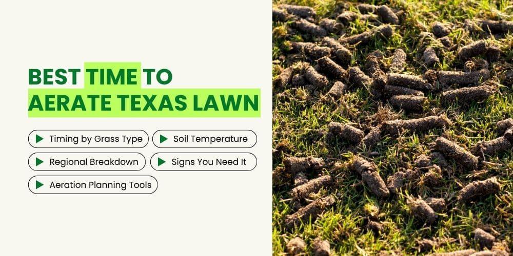When to Aerate Lawn in Texas (By Region, Grass Type & Soil 2026 Guide)