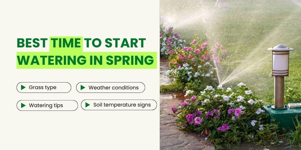When to Start Watering Your Lawn in Spring in Texas (2026 Guide)