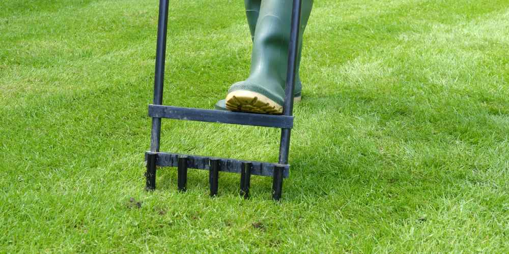 Aerate to Let Your Lawn Breathe