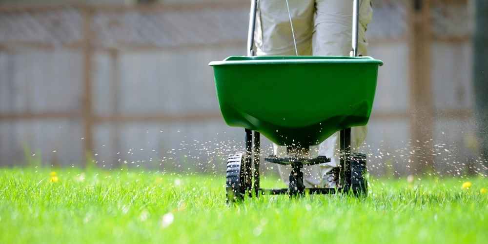 Fertilize lawn at the Right Time