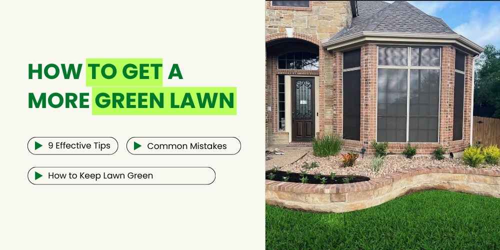 How to Make Grass Greener