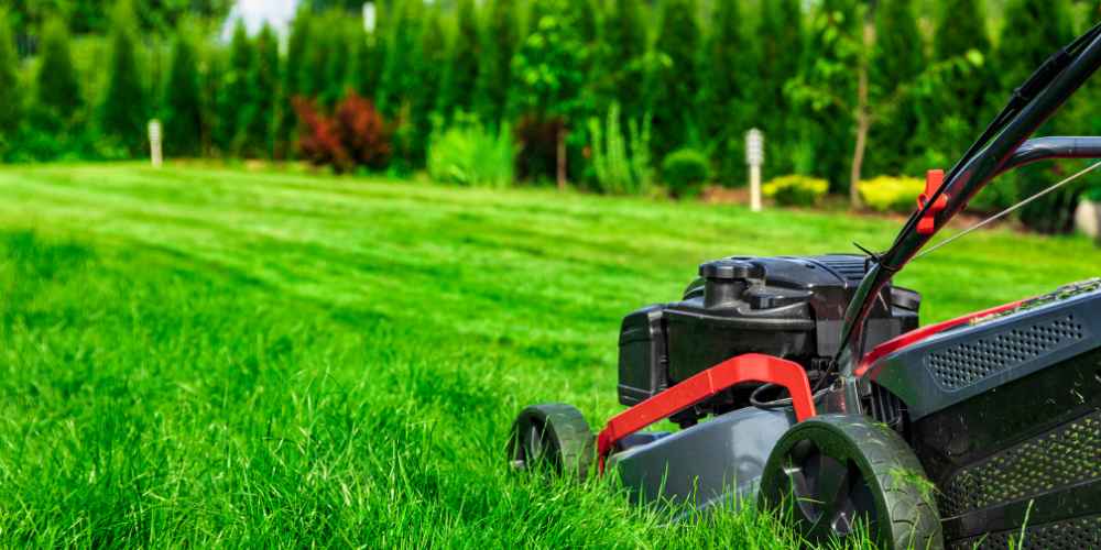 Mow High and Keep Your Blades Sharp