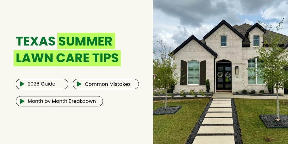 Summer Lawn Care Tips for Texas