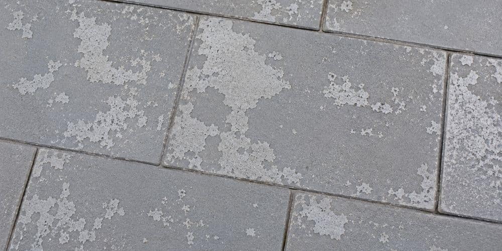 Peeling or Flaking Sealer