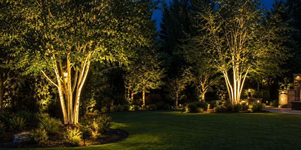 Tree uplighting
