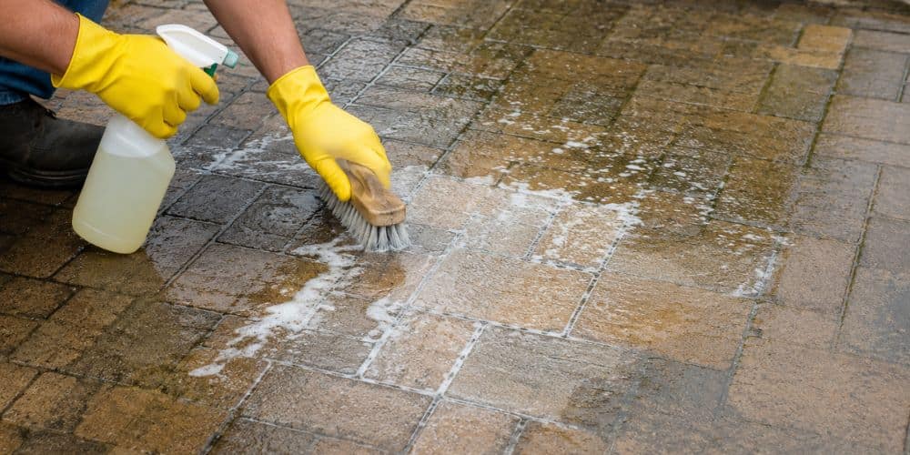 Apply the Cleaning Solution and Scrub