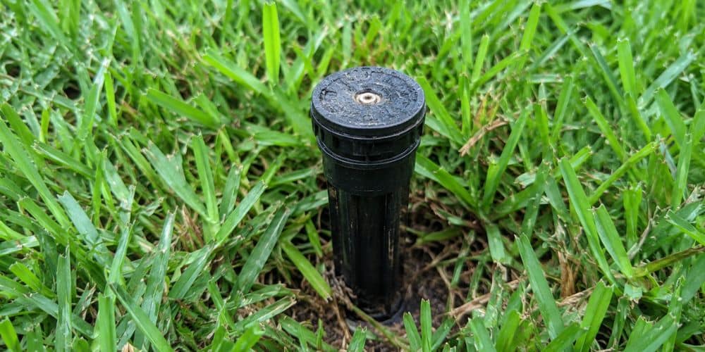 Inspect the Sprinkler Heads