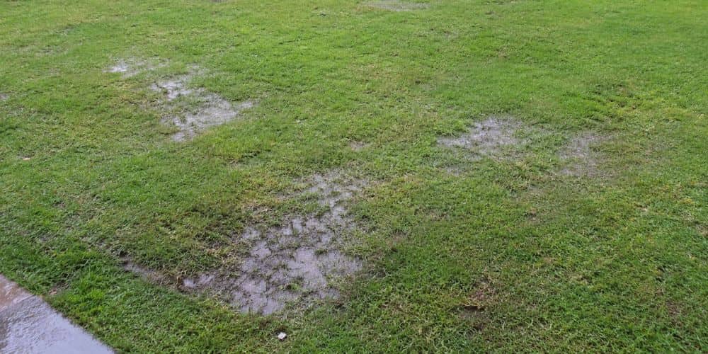 Look for Wet or Soggy Areas in the Lawn